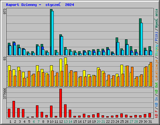 Raport Dzienny -  styczeń 2024