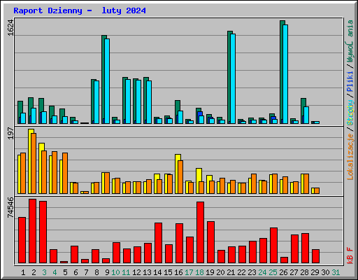 Raport Dzienny -  luty 2024
