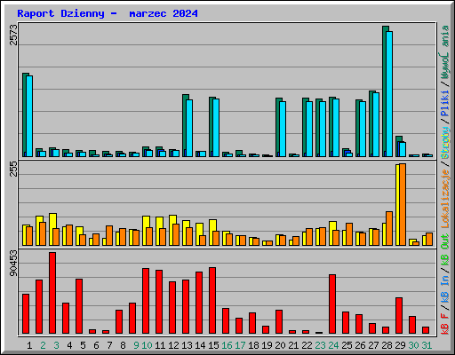 Raport Dzienny -  marzec 2024