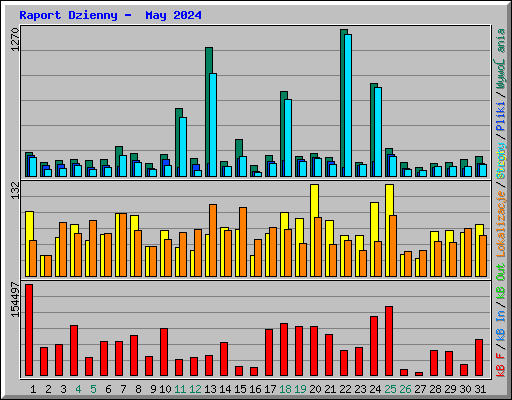 Raport Dzienny -  May 2024