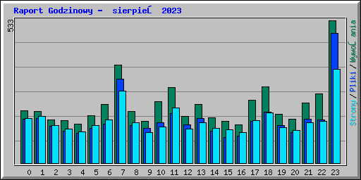 Raport Godzinowy -  sierpień 2023