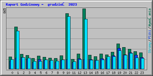 Raport Godzinowy -  grudzień 2023