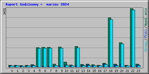 Raport Godzinowy -  marzec 2024