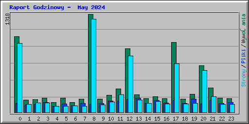 Raport Godzinowy -  May 2024