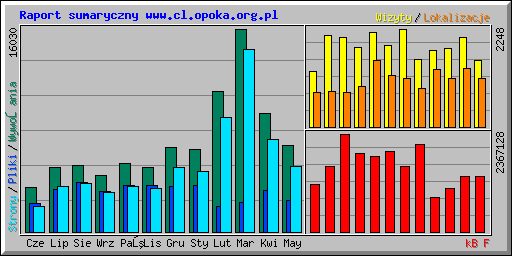Raport sumaryczny www.cl.opoka.org.pl